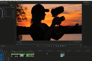 PR视频调色教程(英文字幕) Udemy – Color Grading & Creating Luts In Premiere Pro For Beginners