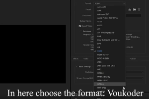 多格式视频编码渲染加速输出插件Voukoder v11.3.2