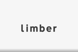 人物角色骨骼IK绑定动画控制 Limber v1.7.4+ 使用教程
