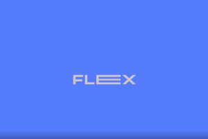 图形动态布局对齐工具 Flex v1.1.2 + 使用教程