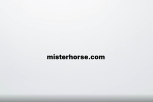 马头人文字标题音效MG动画图层运动缓入缓出脚本预设合集 Mister Horse Win+使用教程