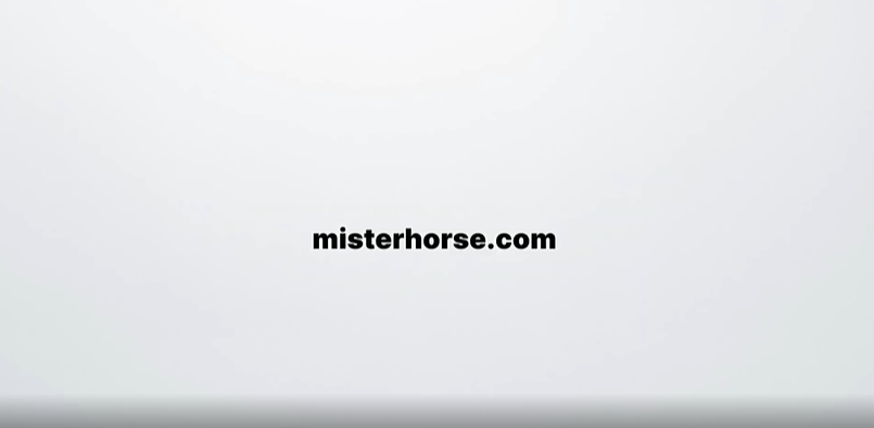 Mister Horse