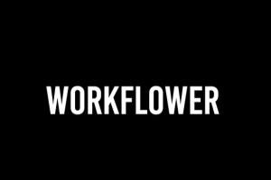 强大实用工作流程优化工具 Workflower v1.1
