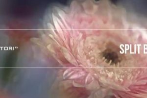 万花筒分割模糊迷幻视觉特效 Split Blur v1.0.3 Mac