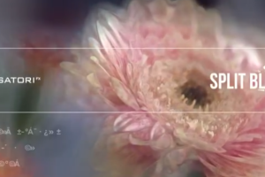 万花筒分割模糊迷幻视觉特效 Split Blur v1.0.3 Win 中文汉化版