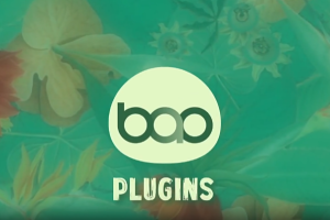 骨骼关节绑定扭曲变形联动AE插件 BAO Joint v1.0.4 Win/Mac版 支持AE2023