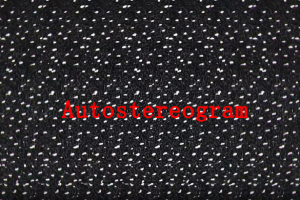 二维图像创建三维视觉错觉场景特效插件Autostereogram v1.0.2 Win/Mac版 + 使用教程