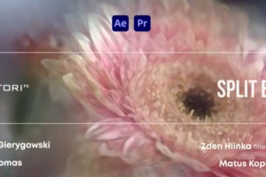 万花筒分割模糊迷幻视觉特效AE/PR插件 Split Blur v1.1.1 Win/Mac 中文汉化版