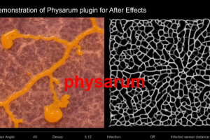 模拟有机生物绒泡菌霉变增长动画AE插件 Physarum v1.3 Win/Mac 支持AE2023