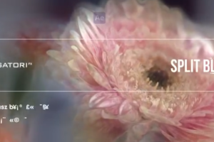 万花筒分割模糊迷幻视觉特效AE/PR插件 Split Blur v1.3.0 Win 中文汉化版
