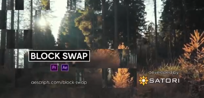 Block Swap v1.5.0