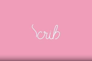 文字书写描边手写字动画 Scribe v2.0 仅支持英文