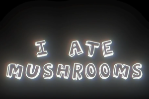 人工智能AI神经网络图像生成器AE插件 I Ate Mushrooms v1.5.4 Win