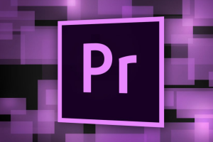 视频编辑软件Adobe Premiere Pro 2024版 一键安装激活版本