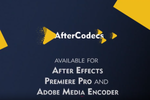 特殊视频格式导入媒体修剪加速渲染输出套装 Autocroma bundle 2023.12 CE Win 支持AE/PR