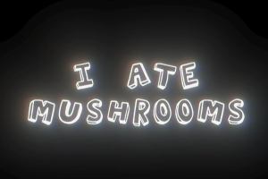 人工智能AI神经网络图像生成器AE插件 I Ate Mushrooms v1.6.24 Win