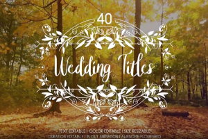 40种浪漫爱情线条图形藤蔓生长婚礼文字标题动画 Flourish Wedding Titles（82M）